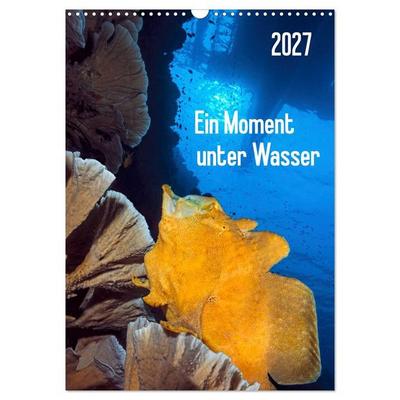Ein Moment unter Wasser (Wandkalender 2027 DIN A3 hoch), CALVENDO Monatskalender