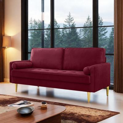 "65"" Velvet Minimalist Sofa with Metallic Legs and Cushions"