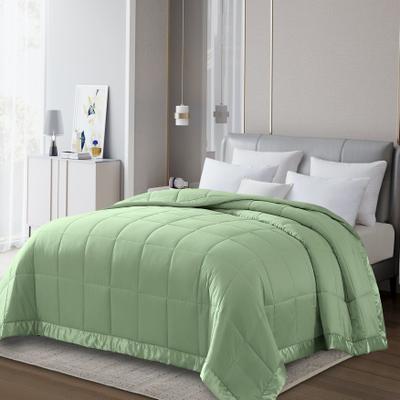 All Season Colored Microfiber Down Alternative Blanket by LCM Home Fashions, Inc. in Sage (Size KING)