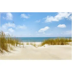 FOTOTAPETE Strand an der Nordsee 432/290 cm