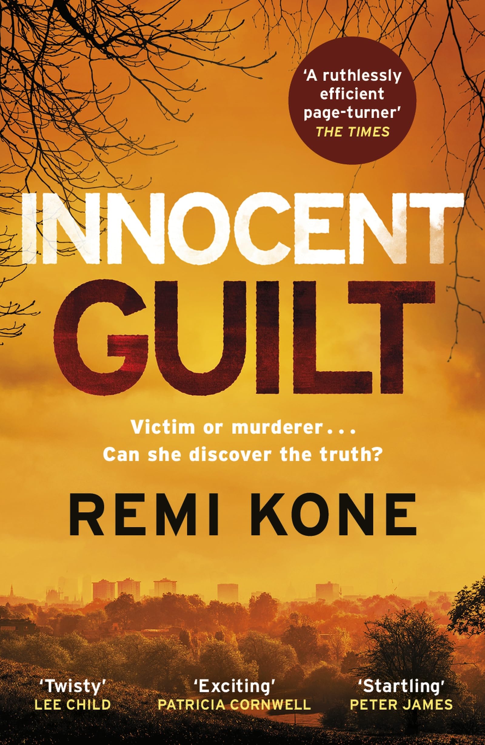 Innocent Guilt: a breathtaking new crime thriller that will keep you guessing (Leah Hutch Series) - Preis vom 17.10.2026 19:25:27 h