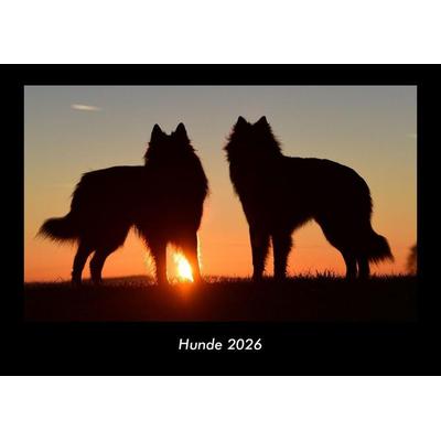 Hunde 2026 Fotokalender DIN A3