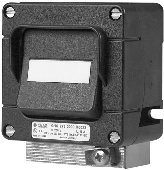 Ceag Interrupteur inverseur de sécurité 1xM25 GHG 273 6000 R0011 (GHG2736000R0011)