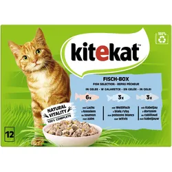Kitekat MP Fischbox in Gelee 4x1.02 kg