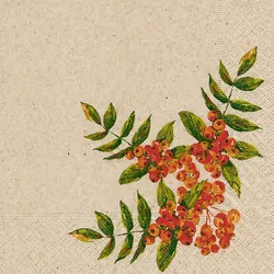 300x PAPER + DESIGN Recycling-Tissue Serviette 33 x 33 cm Rowan Berry 2-lagig