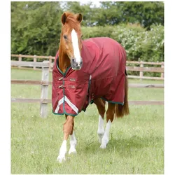 Premier Equine, Pferdedecke