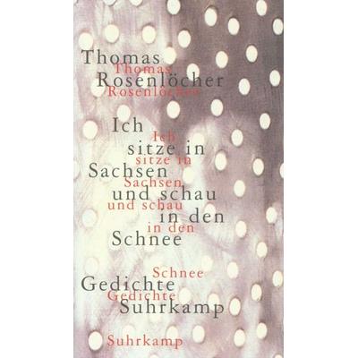 Ich sitze in Sachsen und schau in den Schnee, Gebundene Ausgabe von Thomas Rosenlöcher, Suhrkamp, 978-3-518-40991-6