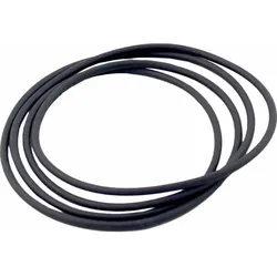 Wolf Dichtung Kondensatwanne D3 391004799 Ring- d:328