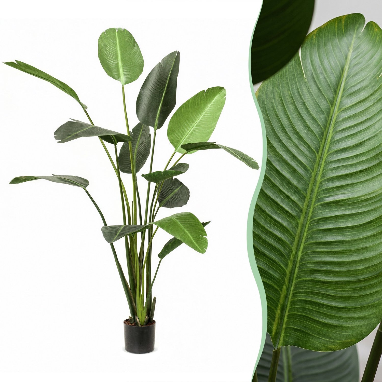 Green boutiQ Kunstplant Strelitzia Nicolai Paradijsvogelbloem 230 cm