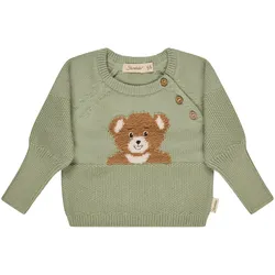 Sterntaler Pullover Bär, gruen, 74