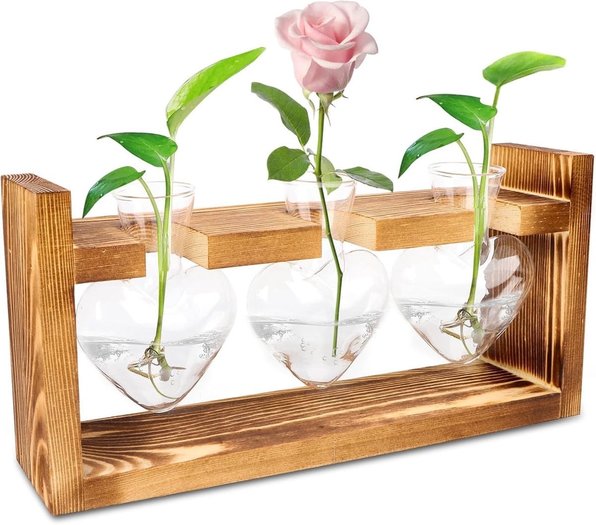 Glazen propagatiestation voor planten met houten standaard en vintage vazen voor tafeldecoratie en hydroponische planten