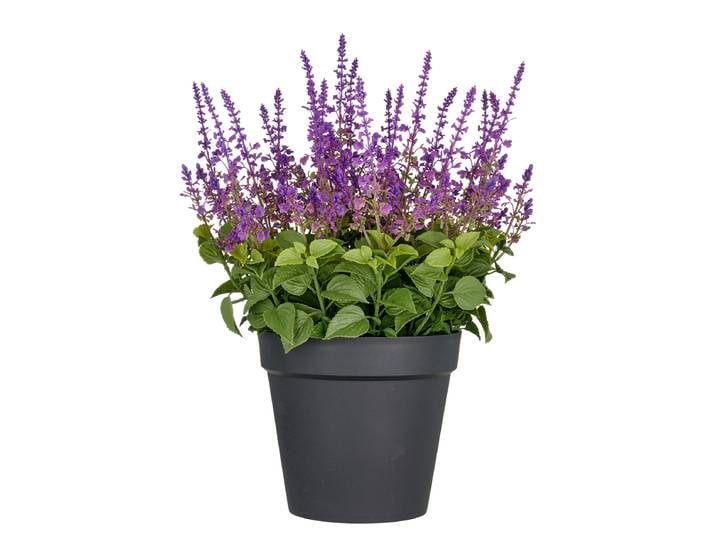 Salvia Superba artificielle type B 40 x 65 x 40cm Mauve