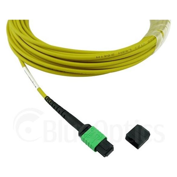 BlueOptics Cisco CB-M12-M12-SMF10M kompatibles MPO-MPO Singlemode G.657.A1 Patchkabel 10 Meter (10 m) (CB-M12-M12-SMF10M-BO)