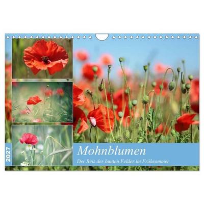 Mohnblumen (Wandkalender 2027 DIN A4 quer), CALVENDO Monatskalender