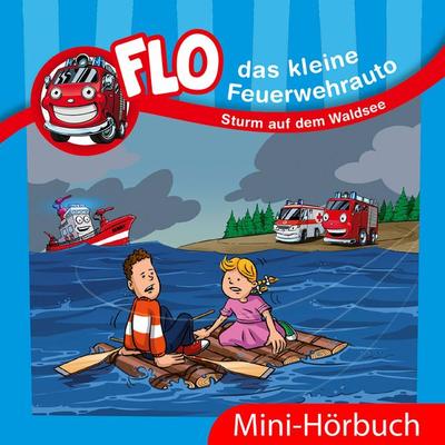 Sturm auf dem Waldsee - Christian Mörken, Audio, 9783689460105