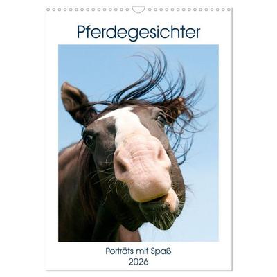 Pferdegesichter - Porträts mit Spaß (Wandkalender 2026 DIN A3 hoch), CALVENDO Monatskalender