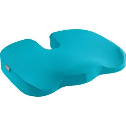 LEITZ 52840061 - Leitz Ergo Cosy Sitzkissen, blau