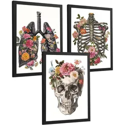POSTER Set aus 3 Anatomie Mensch Drucke und mit Lungen Luftröhre Bronchien Rippen Wirbelsäule und Schädel Modernes Florales Größe Schwarzer Rahmen A3