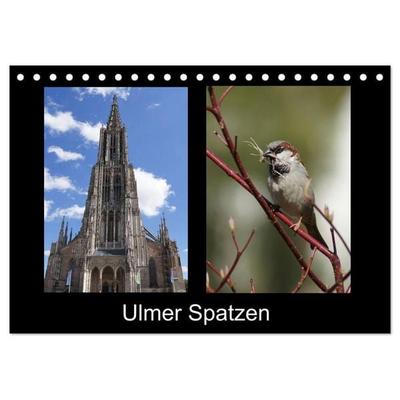 Ulmer Spatzen (Tischkalender 2027 DIN A5 quer), CALVENDO Monatskalender