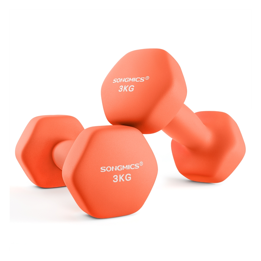 SONGMICS Kurzhanteln 2er-Set rot B34SYL906O01