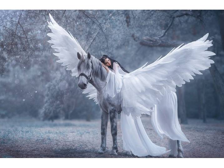 Fototapete PAPERMOON EINHORN MIT FEE IM MÄRCHENWALD , bunt, B:4m L:2,6m, Vlies, Tapeten, Fototapete