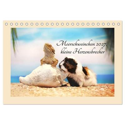 Meerschweinchen 2027, kleine Herzensbrecher (Tischkalender 2027 DIN A5 quer), CALVENDO Monatskalender