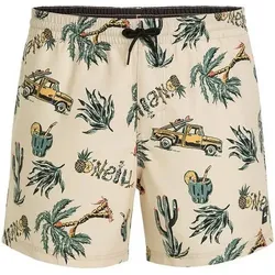O'NEILL Badehose MIX & MATCH CALI PRINT 15'' SWIM SHORTS, Größe M in Braun Braun