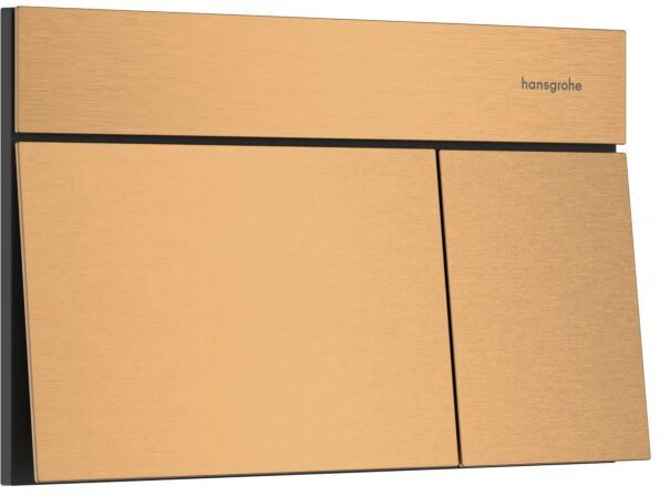 Hansgrohe iFrame Element E Betätigungsplatte 66003140 für 2-Mengen-Spülung, Metall, brushed bronze
