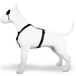 Morso Hondentuig H-Tuig Gerecycled Gold Caviar Goud (Hund, Allgemein), Halsband + Leine