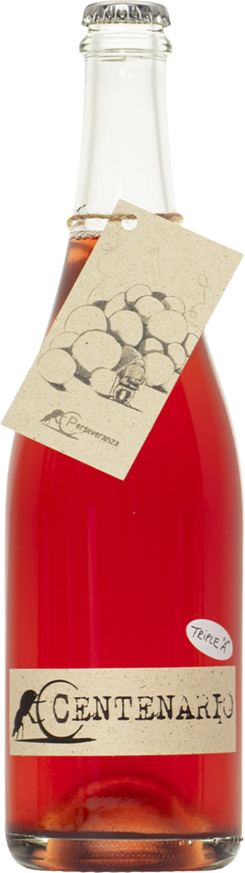 Lambrusco Rosato 'Centenario' Perseveranza 2023