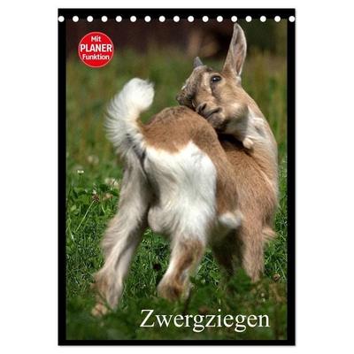Zwergziegen (Tischkalender 2027 DIN A5 hoch), CALVENDO Monatskalender
