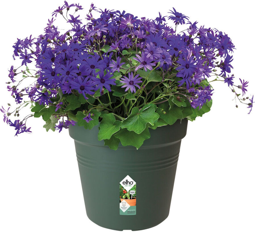 Elho Anzuchtstopf Green Basics Ø 19 cm grün