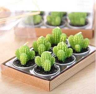 HomeDecorAndMore LLC Mini Cactus Candles Smoothy