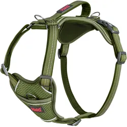 Company of Animals Halti Anatomy M Hundegeschirr (M, Hund, Hundesport, Spazieren), Halsband + Leine
