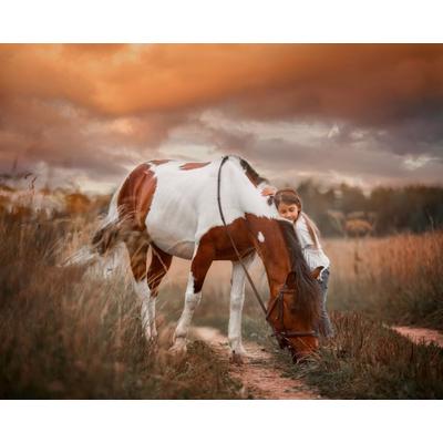 Fototapete PAPERMOON "PINTO PONY-PFERD MÄDCHEN SCHECKE TIER MINI INDIAN", bunt, B:2m L:1,49m, Vlies, Tapeten