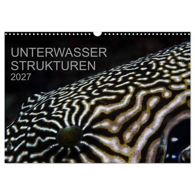 Unterwasser Strukuren (Wandkalender 2027 DIN A3 quer), CALVENDO Monatskalender