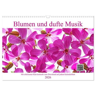 Blumen und dufte Musik (Wandkalender 2026 DIN A3 quer), CALVENDO Monatskalender