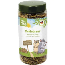 JR Farm Mehlwürmer 5x70 g