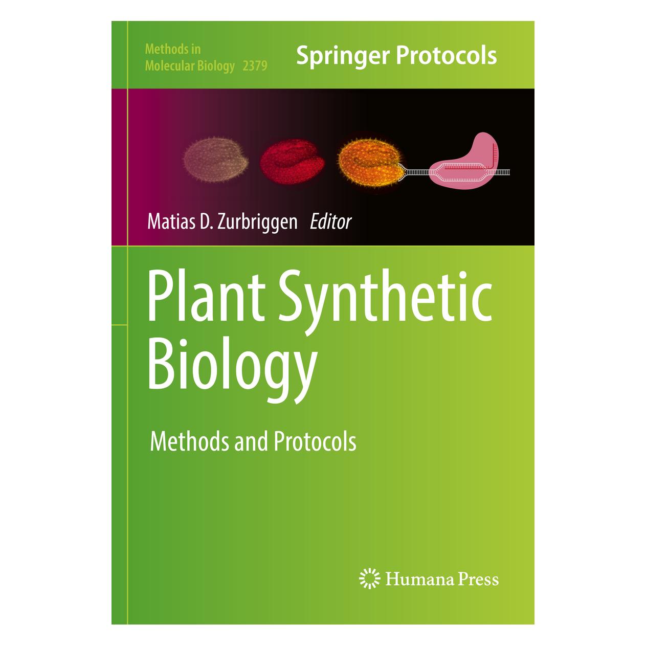 Springer Plant Synthetic Biology (Englisch, Softcover, Matias D. Zurbriggen) (56935333)