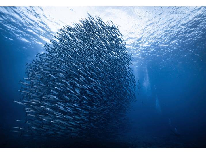 Fototapete PAPERMOON Photo-Art YONGHOON CHOI, MASSENGIGANT , bunt, B:1,5m L:1,11m, Vlies, Tapeten, Fototapete