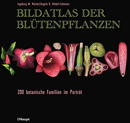 Ingeborg M. Niesler - Bildatlas der Blütenpflanzen: 200 botanische Familien im Porträt - Preis vom 11.10.2026 03:10:56 h