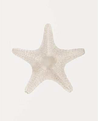 Inspired Finds Watercolor Sea Shell Wall Art Canvas Set Starfish Coastal Prints For Living Room Decor 11.81x15.75in No Frame pearl Star Form