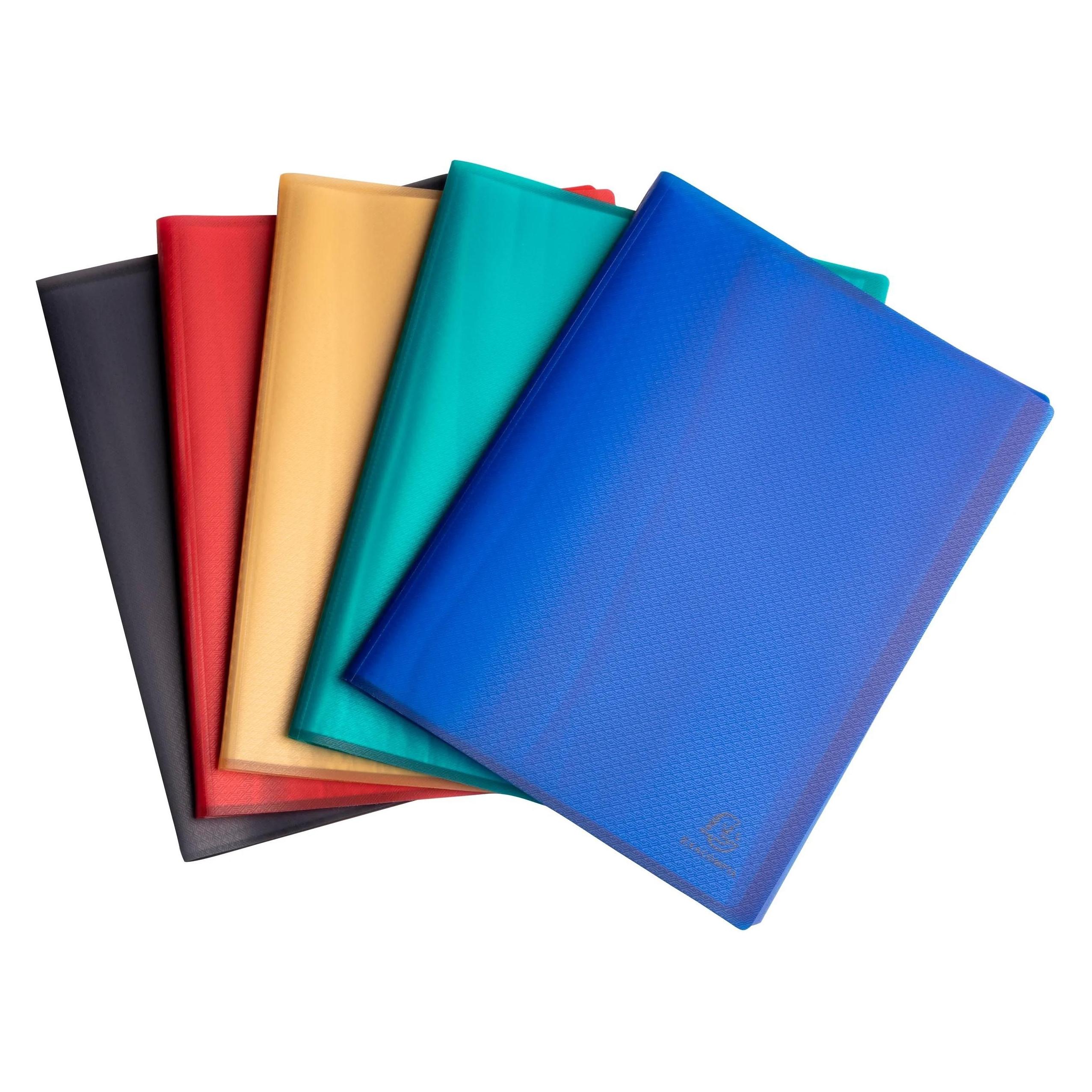 Exacompta Sichtbuch 78540E, A4, 40 Taschen, assortiert, Packung à 5 Stück (A4, 5x) (78540E)