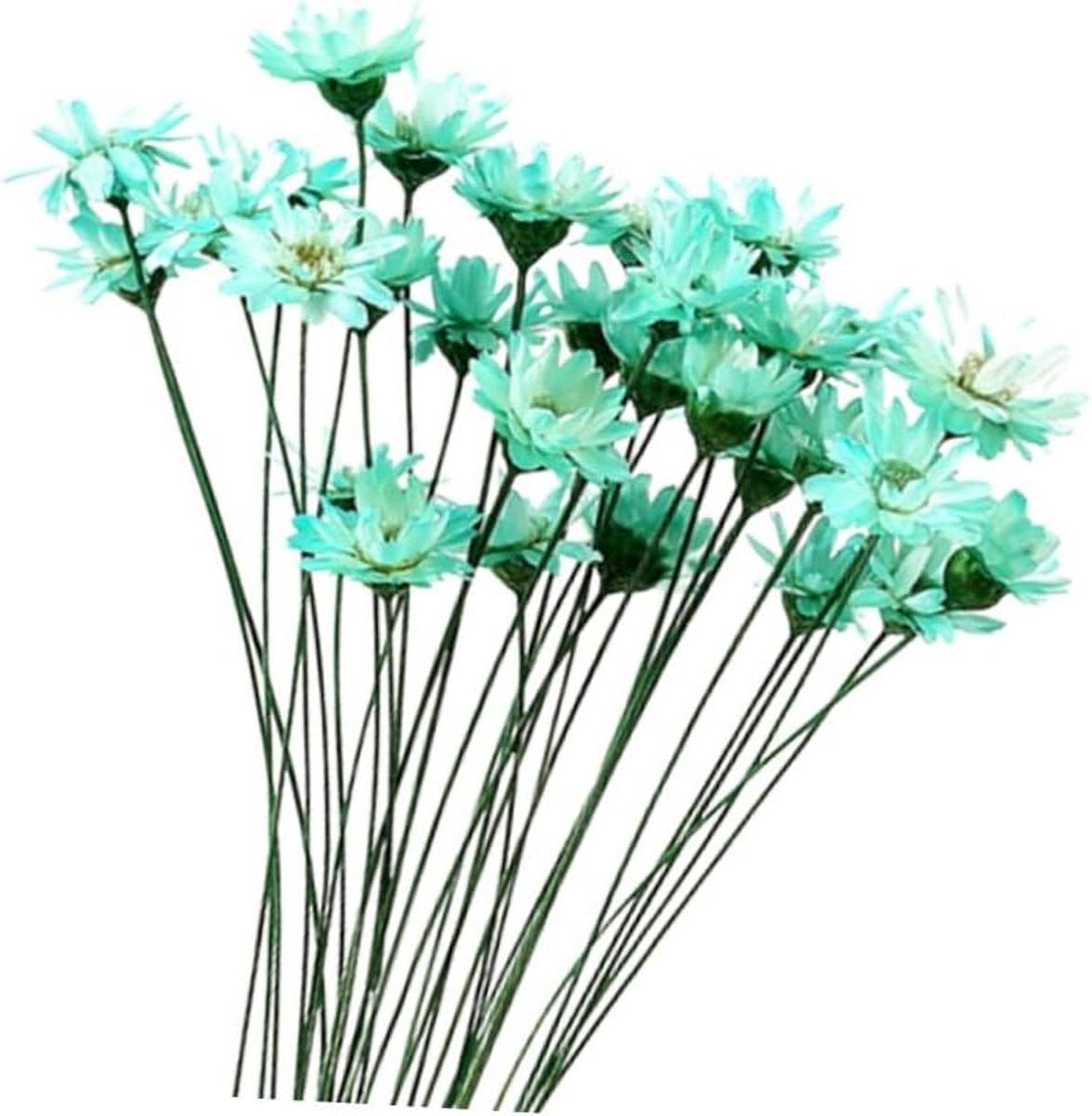 Set van 30 gekleurde mini gedroogde bloemen voor natuurlijke decoratie