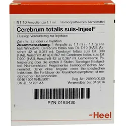 Cerebrum To Suis Inj Or 10 ST