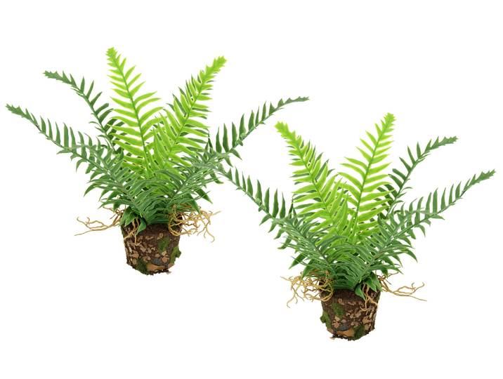 Kunstpflanze I.GE.A. Künstlicher Waldfarn im Topf , grün, B:20cm H:25cm L:14cm, Kunststoff, Kunstpflanzen, Kunstpflanze, 2er Set Farn Büsche Pflanze Deko Grünpflanze Waldpflanze Zimmerpflanze