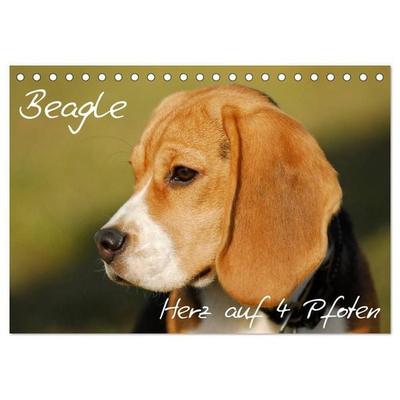 Beagle - Herz auf 4 Pfoten (Tischkalender 2027 DIN A5 quer), CALVENDO Monatskalender