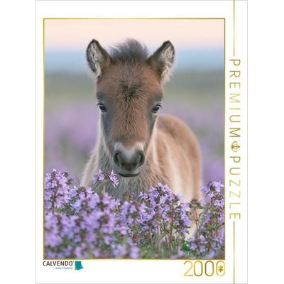 CALVENDO Puzzle Kleine Hufe, großes Herz | 2000 Teile Lege-Größe 90 × 67 cm Foto-Puzzle für glückliche Stunden, von , Calvendo Puzzle