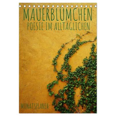 Mauerblümchen - Poesie im Alltäglichen als Monatsplaner (Tischkalender 2026 DIN A5 hoch), CALVENDO Monatskalender