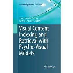 Visual Content Indexing and Retrieval with Psycho-Visual Models, Fachbücher